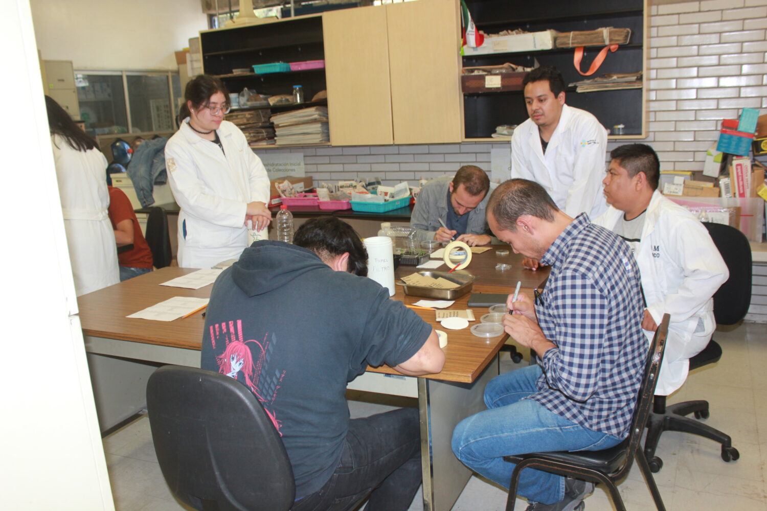 Participantes realizando pruebas de germinación